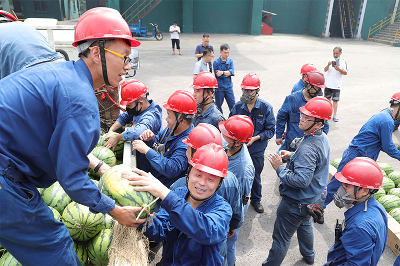 1597539898157721iWWI.jpg 14.jpg